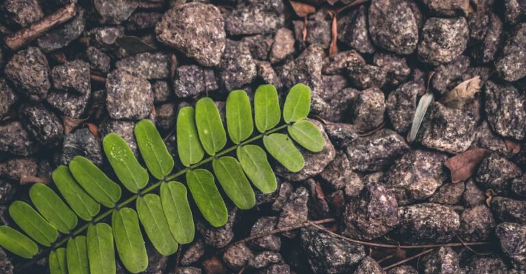 Learning The Basics Of Beauty And Style