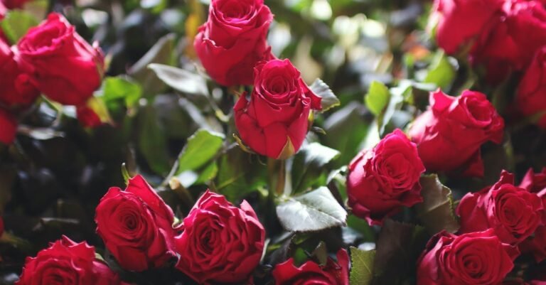 Affordable, All Natural Beauty Tips Bring Out The Best In You