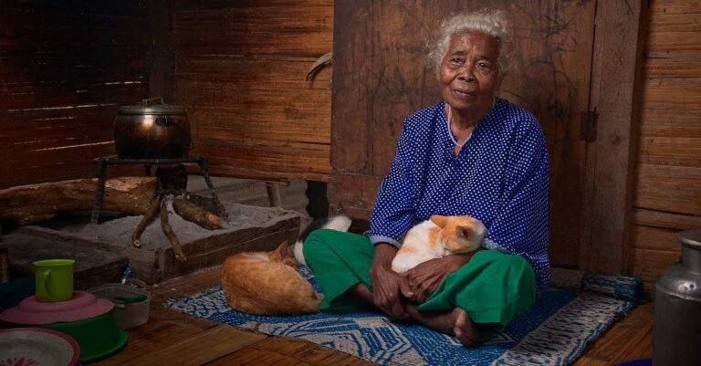 Want To Know About Cats? Read This