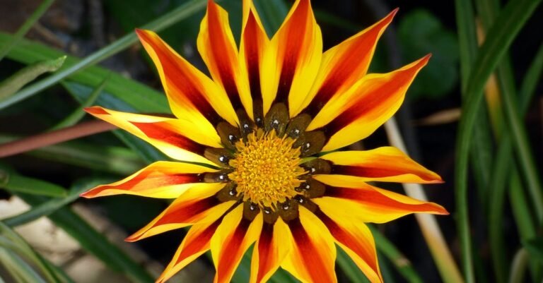 Easy Steps On How To Be Beautiful