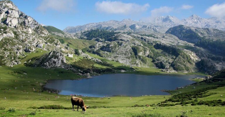 Good Health Helps You Be Your Most Beautiful Self