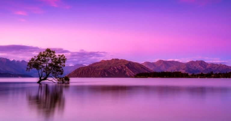 Combating Thinning Hair: Tips And Tricks To Help You